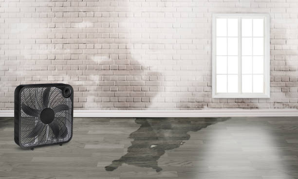 Best Water damage restoration near me  in Merriam Woods, MO