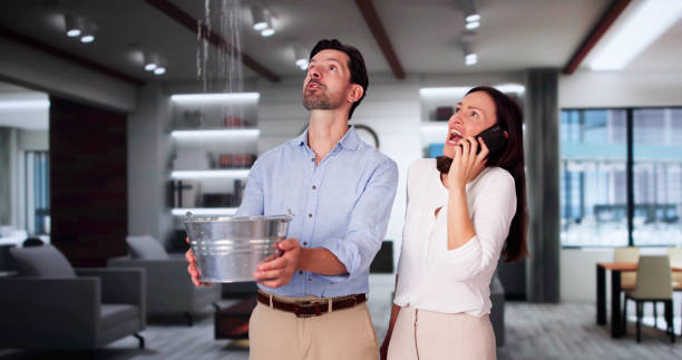 Best Mold removal after water damage  in Merriam Woods, MO
